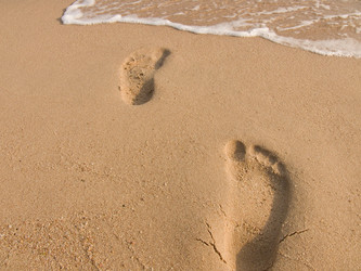 Similar image 483353