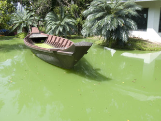 Similar image 483382