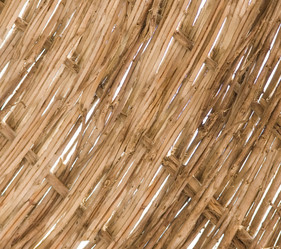 Similar image 483386