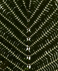 Similar image 483396