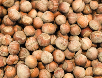 Similar image 483479