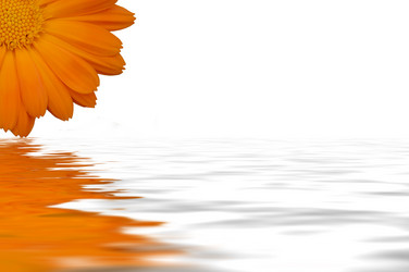 Similar image 483497