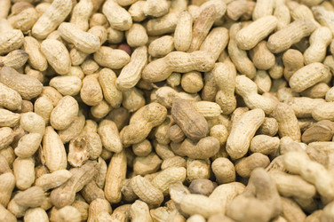 Similar image 483508