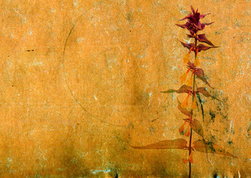 Similar image 483548