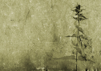 Similar image 483551