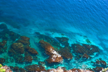 Similar image 483646