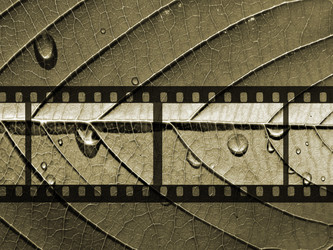 Similar image 483753