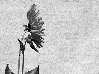 Similar image 483761