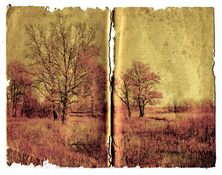 Similar image 483764