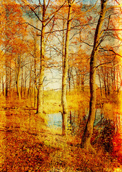 Similar image 483767