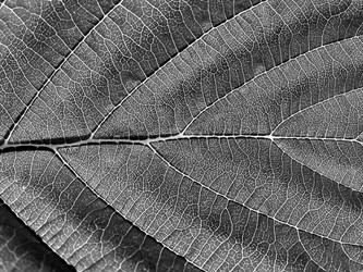 Similar image 483769