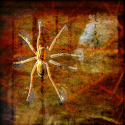 Similar image 483787