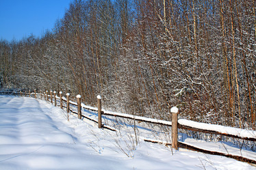 Similar image 483799