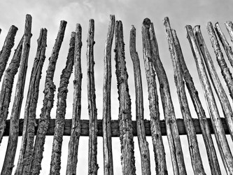 Similar image 483831