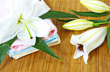 Similar image 483838