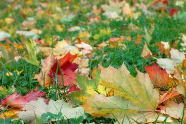 Similar image 483841