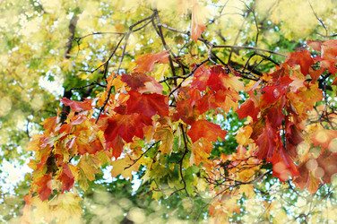 Similar image 483842