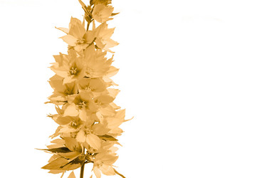 Similar image 483850