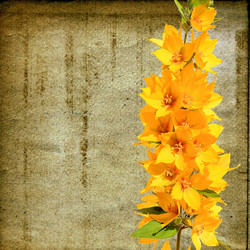 Similar image 483852