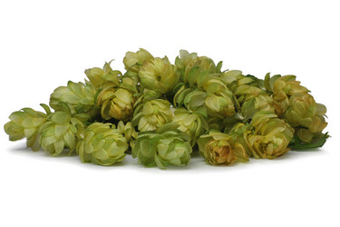 Similar image 483854