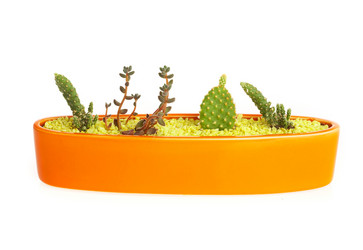 Similar image 483858