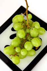 Similar image 483874