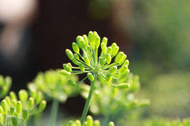 Similar image 484120