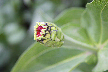 Similar image 484121