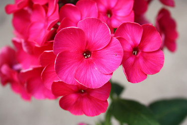 Similar image 484122