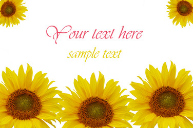 Similar image 484147