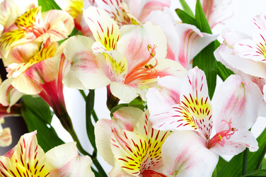 Similar image 484155