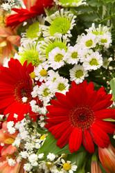 Similar image 484157