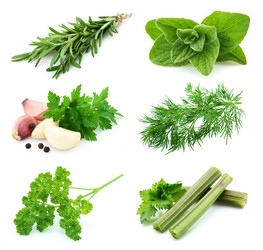 Similar image 484170