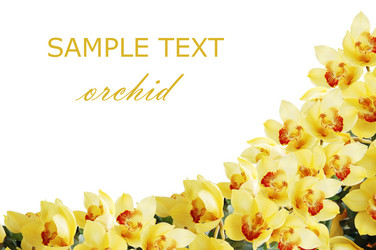 Similar image 484269