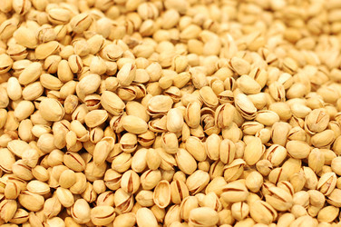 Similar image 484388