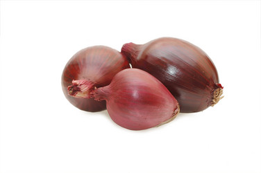 Similar image 484523