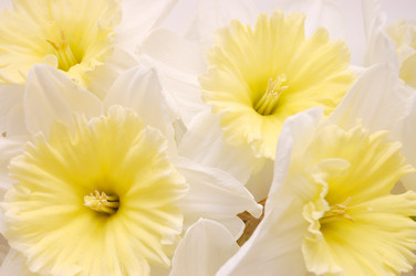 Similar image 484540