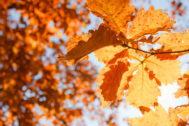 Similar image 484567