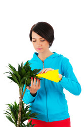 Similar image 484618