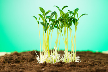 Similar image 484796