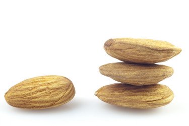 Similar image 484838