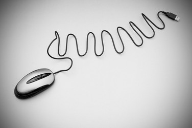 Similar image 484918