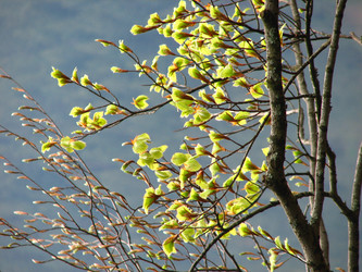 Similar image 484933