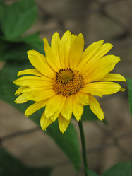 Similar image 484942