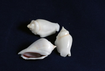 Similar image 485092