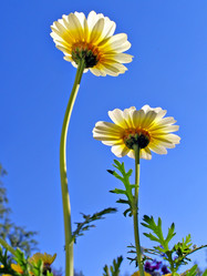 Similar image 485137