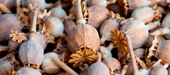 Similar image 485147