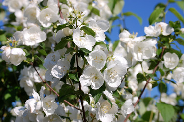 Similar image 485203