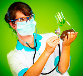 Similar image 485374