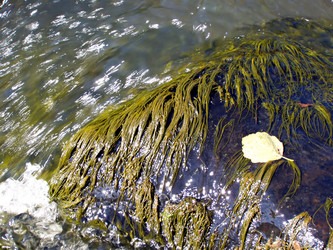 Similar image 485653